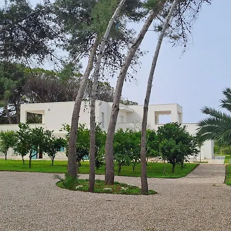 Agapanto Paestum
